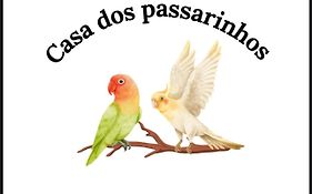 Casa Dos Passarinho'S , Lagos